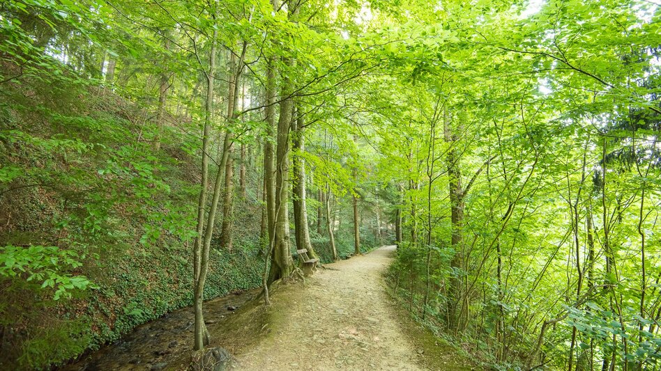 Wanderung Hinterbrühl-Runde barrierefrei, Pöllau - Touren-Impression #2.5 | © Oststeiermark Tourismus