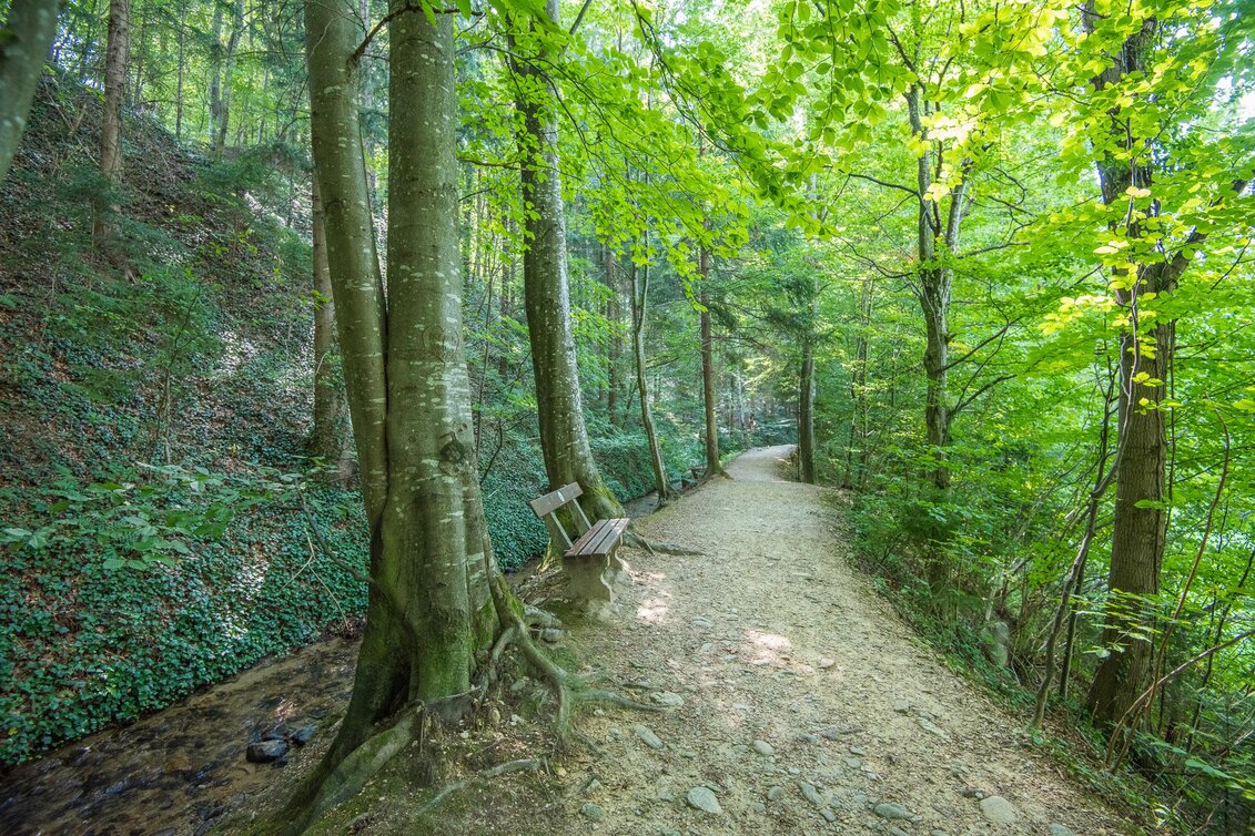 Wanderung Hinterbrühl-Runde barrierefrei, Pöllau - Touren-Impression #1 | © Helmut Schweighofer