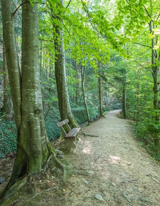 Bench Hinterbrühl_Pöllau_Eastern Styria | © Helmut Schweighofer