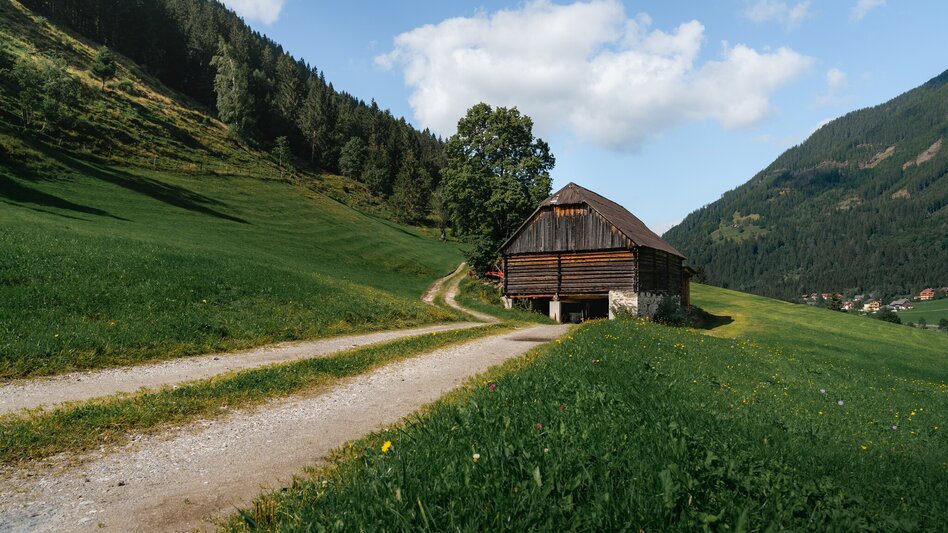 Hiking Route Steirischer Gstanzlweg - Touren-Impression #2.12 | © Christoph Lukas