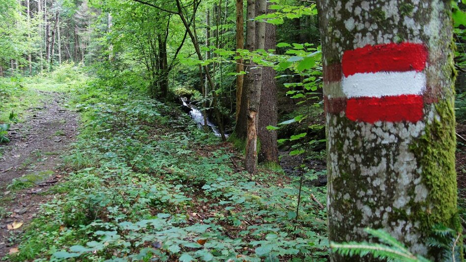 Themed Nature Trail Stenzengreither Theme Trail - Touren-Impression #2.3 | © Oststeiermark Tourismus