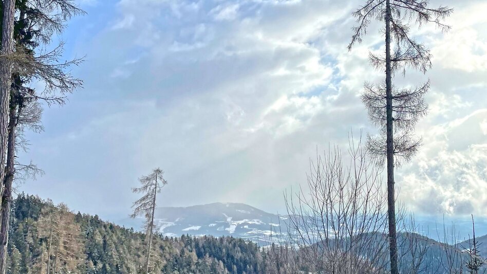 Winter Hiking Winter hike on the Zetz - Touren-Impression #2.2 | © Oststeiermark Tourismus