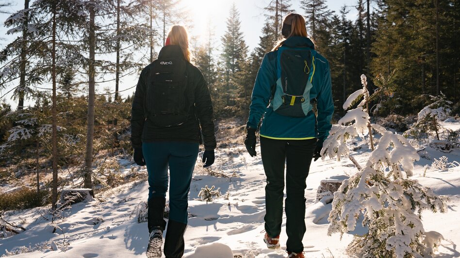 Winter Hiking Winter hike on the Zetz - Touren-Impression #2.1