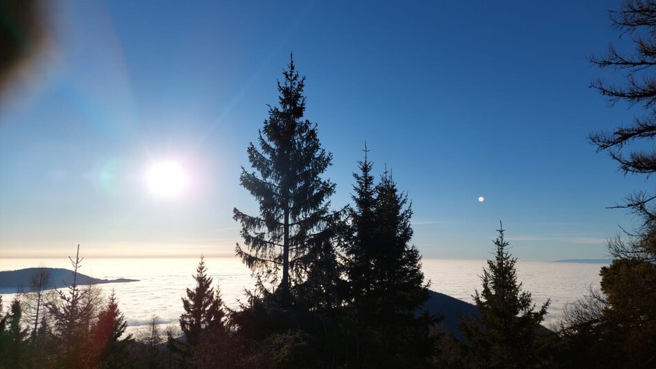 Winter Hiking Winter hike on the Zetz - Touren-Impression #2.4 | © Oststeiermark Tourismus