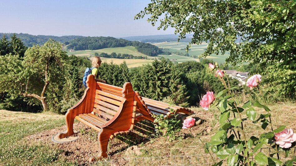Themen- und Lehrpfad Rosenweg St. Stefan im Rosental - Touren-Impression #2.5 | © Thermen- & Vulkanland