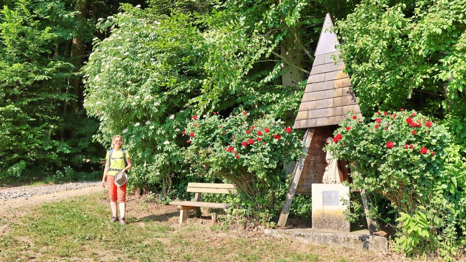 Themen- und Lehrpfad Rosenweg St. Stefan im Rosental - Touren-Impression #2.13 | © Thermen- & Vulkanland