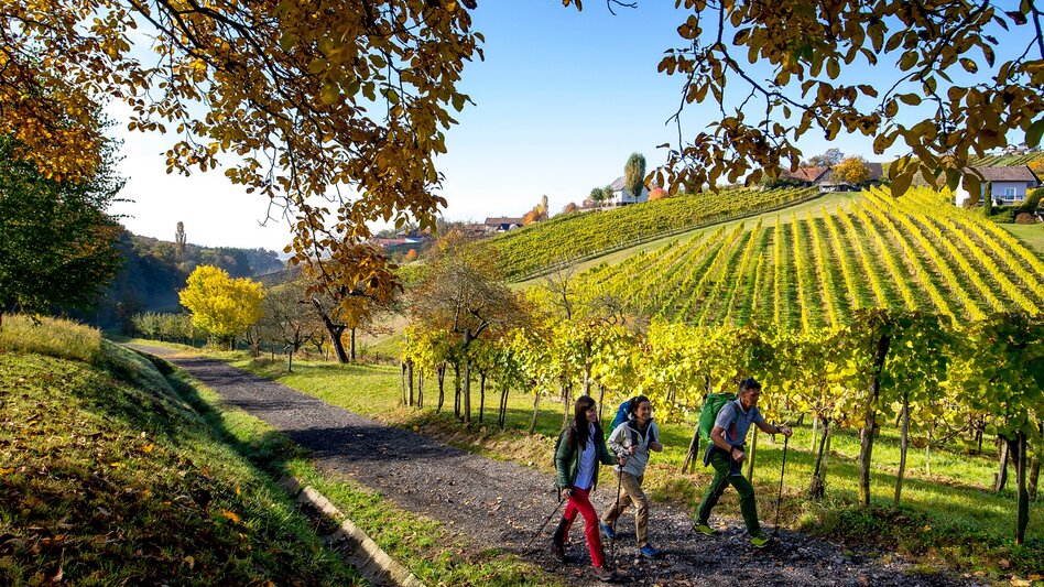 Wanderung Österreichischer Grenzlandweg 07 durch die Steiermark - Touren-Impression #2.1 | © Steiermark Tourismus