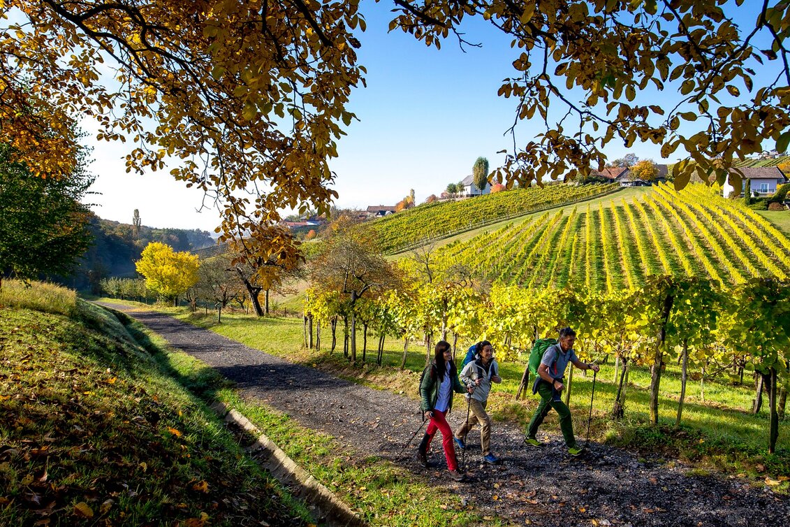 Wanderung Österreichischer Grenzlandweg 07 durch die Steiermark - Touren-Impression #1 | © Steiermark Tourismus