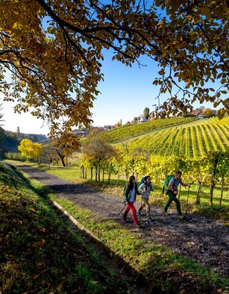 Unterwegs bei Klöch | Tom Lamm | © Steiermark Tourismus