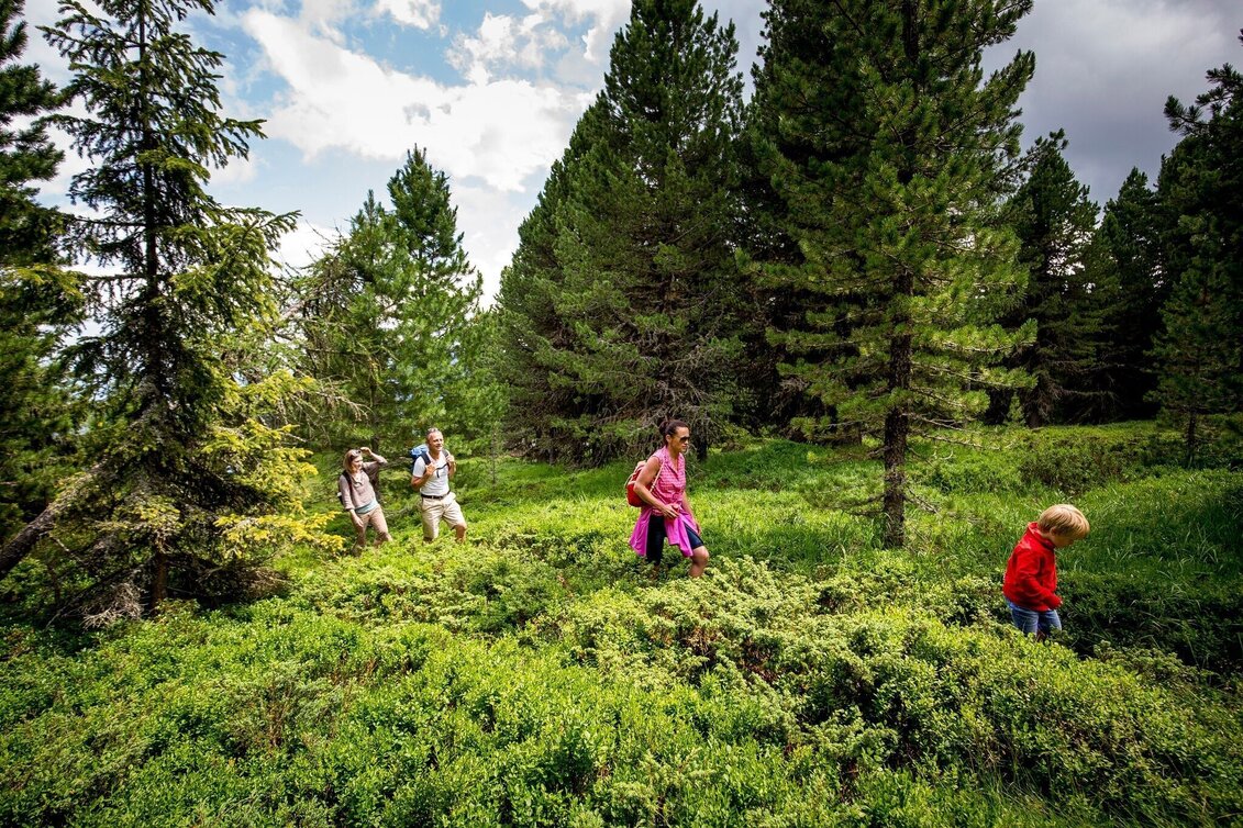 Wanderung Kreischbergrunde - Touren-Impression #1 | © Tourismusverband Murau