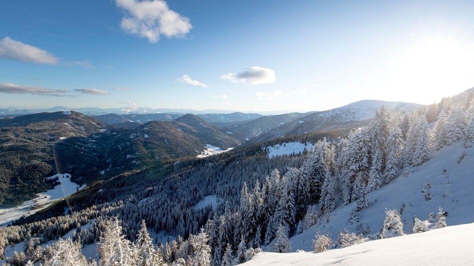 Winter Hiking Frauenalpe - Touren-Impression #2.1 | © Tourismusverband Murau
