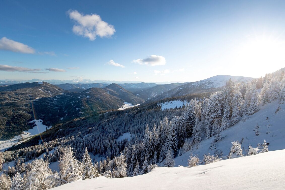 Winter Hiking Frauenalpe - Touren-Impression #1 | © Tourismusverband Murau