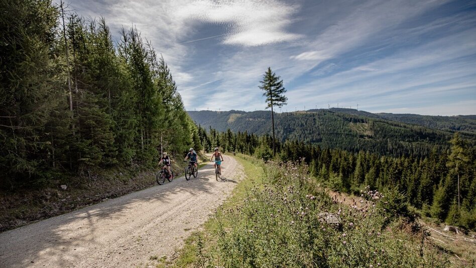 Mountainbike Mit dem Mountainbike zur Schwaigerhütte am Stuhleck - Touren-Impression #2.3 | © TV Hochsteiermark