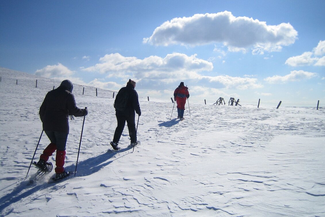 Snowshoe Walking Old snowshoe trail Maria Schönanger - Touren-Impression #1 | © Tourismusverband Murau