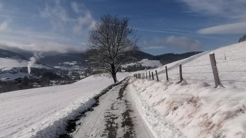 Winter Hiking St. Lambrecht circular hiking trail - Touren-Impression #2.2 | © Tourismusverband Murau