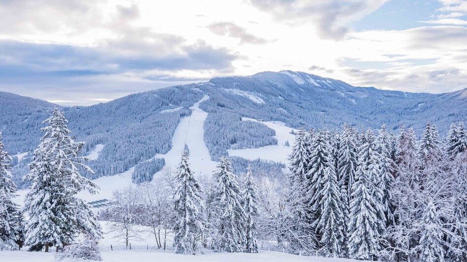 Winter Hiking St. Lambrecht circular hiking trail - Touren-Impression #2.3 | © Tourismusverband Murau
