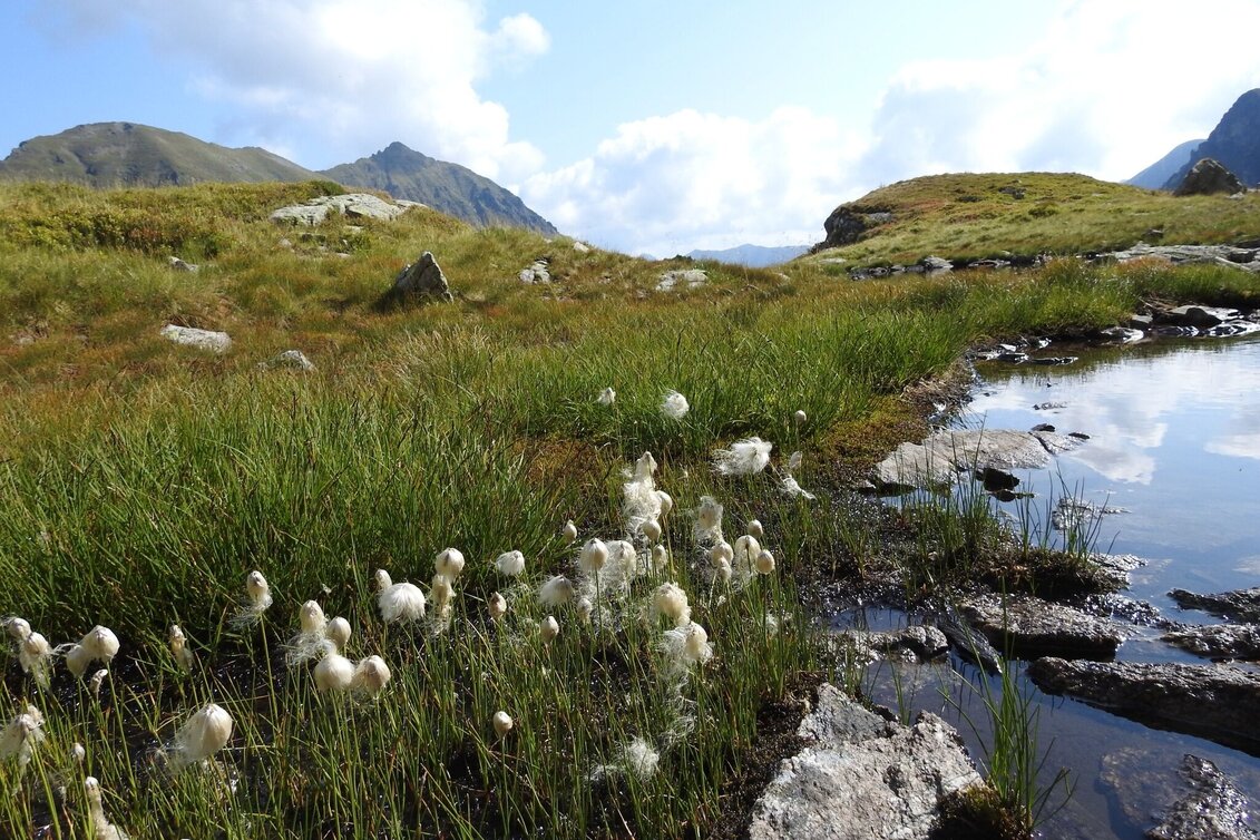 Hiking Route The Goldlacken in Sattental valley - Touren-Impression #1 | © Erlebnisregion Schladming-Dachstein