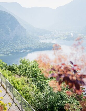 Trail running at Lake Hallstatt | Philipp Reiter | © Erlebnisregion Schladming-Dachstein