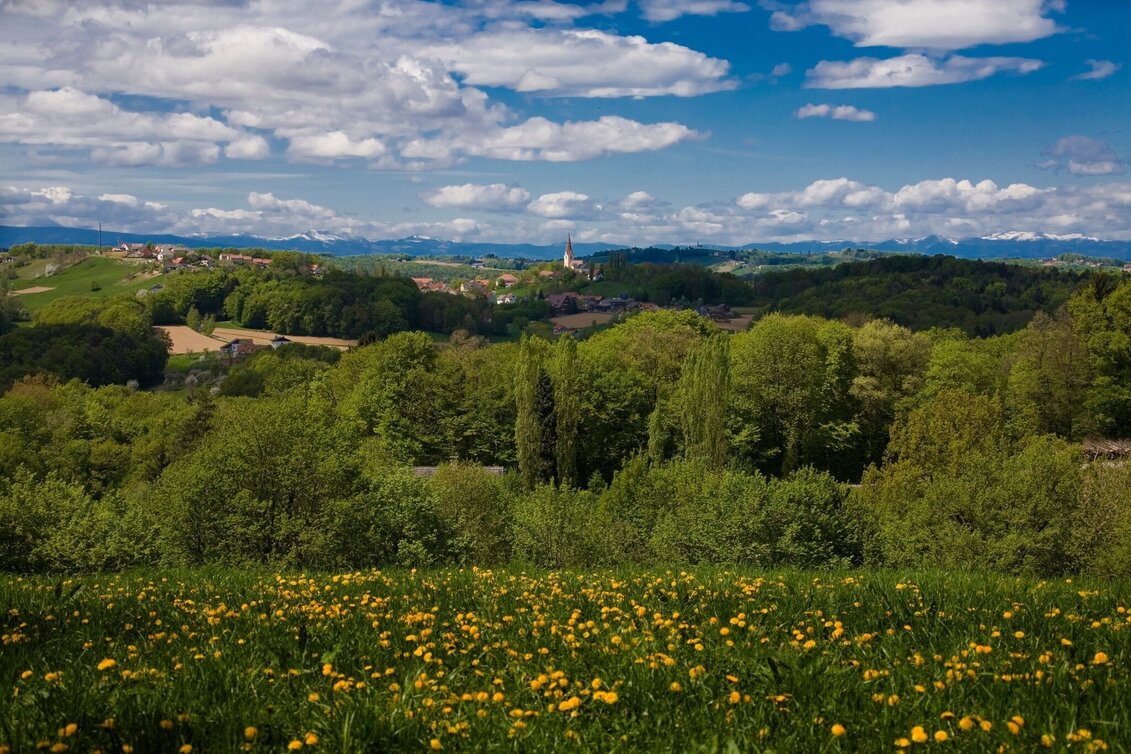 Themen- und Lehrpfad Johannesweg - Touren-Impression #1 | © Marktgemeinde Jagerberg