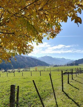 Prenten Höhenweg Nr.8 | Erlebnisregion Schladming-Dachstein | © Erlebnisregion Schladming-Dachstein