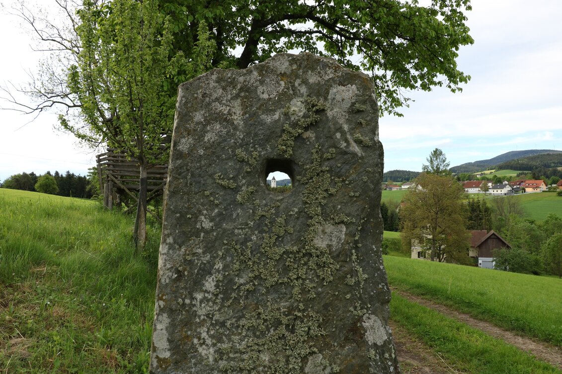 Themed Nature Trail Perforated stone circuit, Vorau - Touren-Impression #1 | © Tourismus Info Vorau