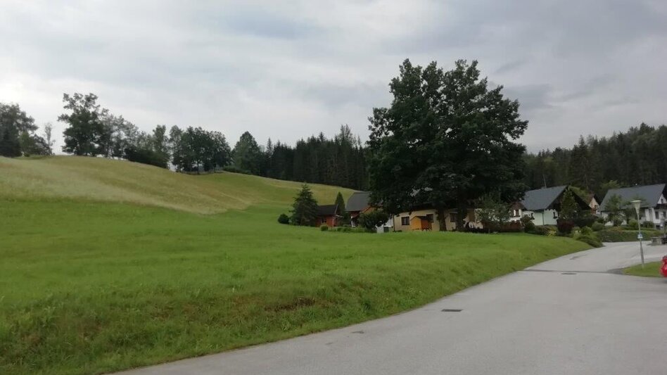 Wanderung Landler Spazierweg #2 Kapellenweg - Touren-Impression #2.1 | © TV Gesäuse