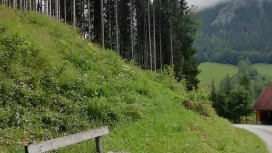 Wanderung Landler Spazierweg #2 Kapellenweg - Touren-Impression #2.6 | © TV Gesäuse