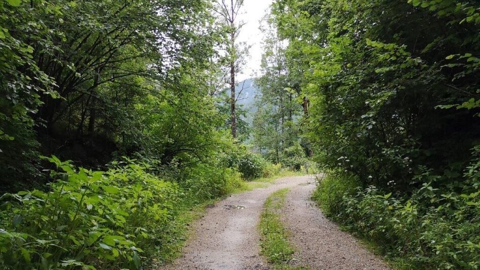 Hiking Route Landler Country walk #3 - Touren-Impression #2.5 | © TV Gesäuse