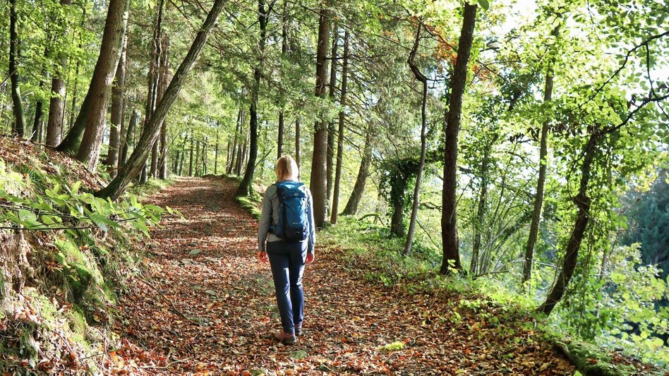 Hiking Route Zotter-Schleife Genusswanderweg Riegersburg - Touren-Impression #2.9 | © Thermen- & Vulkanland