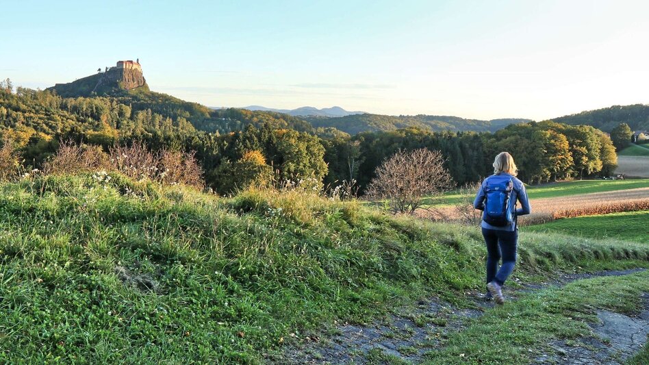Hiking Route Zotter-Schleife Genusswanderweg Riegersburg - Touren-Impression #2.12 | © Thermen- & Vulkanland