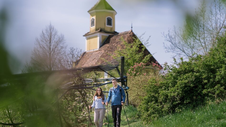 Themen- und Lehrpfad 7 Plätze 7 Schätze Rundweg, St. Ruprecht an der Raab - Touren-Impression #2.14 | © Tourismusverband Oststeiermark