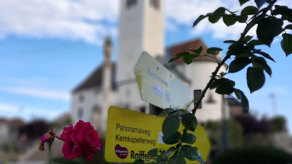 Themen- und Lehrpfad 7 Plätze 7 Schätze Rundweg, St. Ruprecht an der Raab - Touren-Impression #2.7 | © WEGES