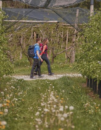 Wandern_Apfelgärten_Puch bei Weiz_Oststeiermark  | Markus Lang-Bichl