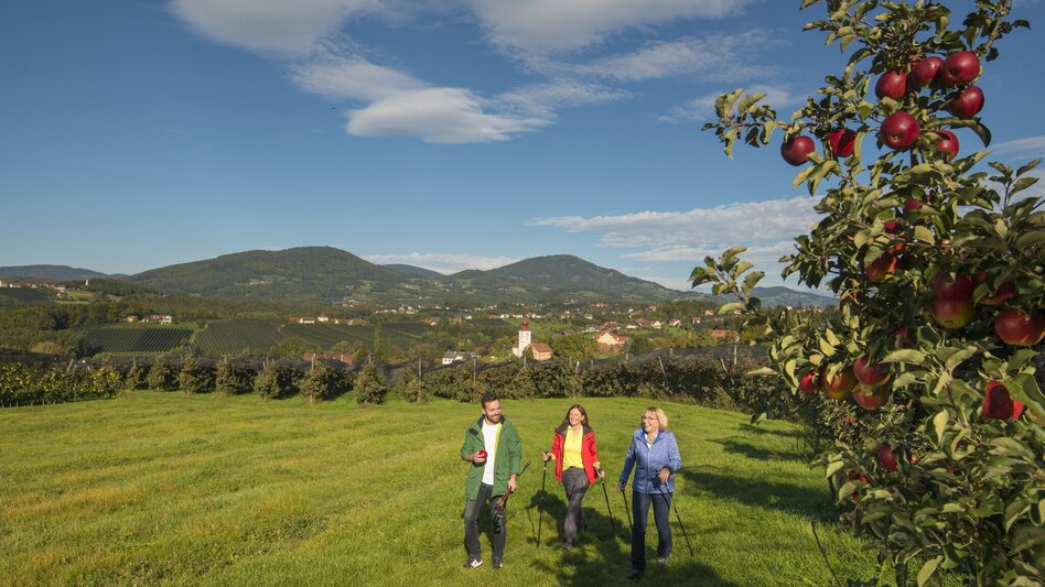 Hiking Route Apple hiking trail from Weiz to Puch - Touren-Impression #2.4