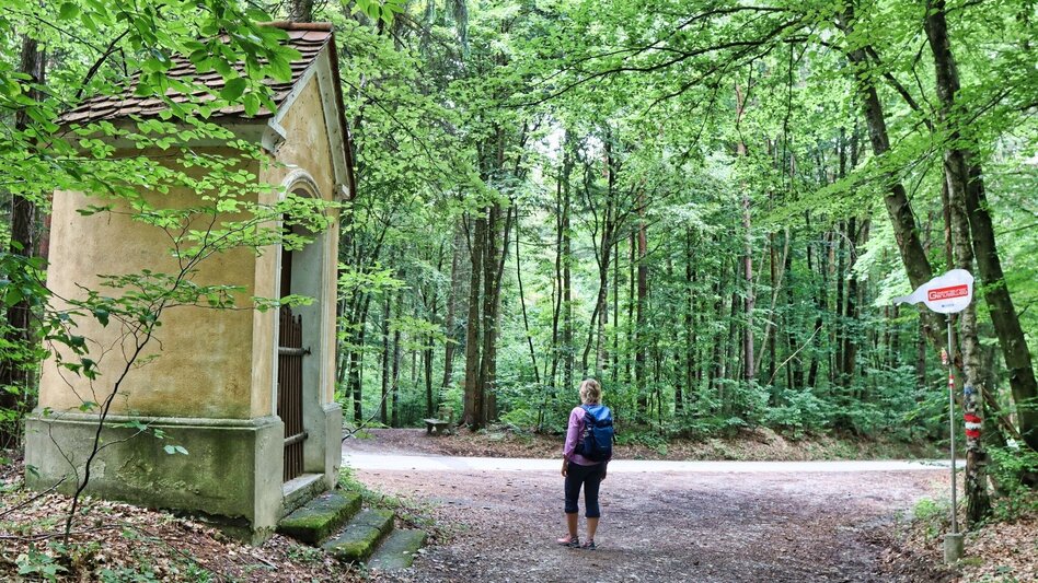 Wanderung Gölles-Schleife Genusswanderweg  Riegersburg - Touren-Impression #2.5 | © Thermen- & Vulkanland