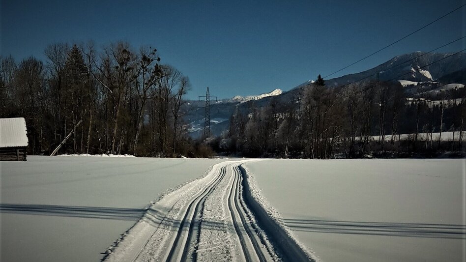 Ski-Nordic Skating Cross-country trail Haus-Aich - Touren-Impression #2.2 | © Unbekannt