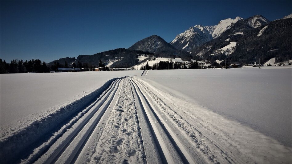 Ski-Nordic Skating Cross-country trail Haus-Aich - Touren-Impression #2.3 | © Unbekannt