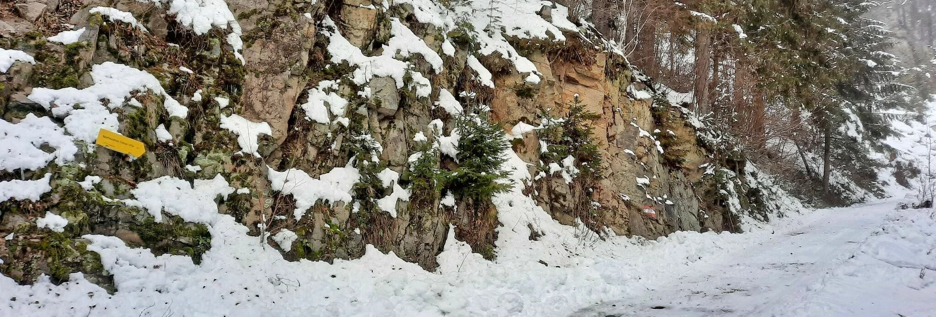 Schneeschuh Steinplan über Kleinlobming - Touren-Impression #1 | © Weges OG