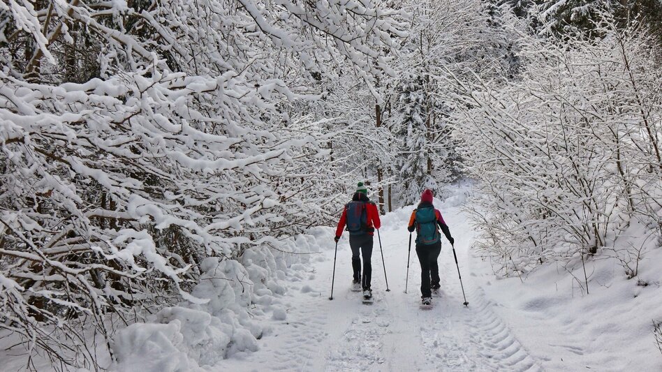 Snowshoe Walking Easy snowshoe hike to the schwarzer Herrgott - Touren-Impression #2.1 | © Weges OG