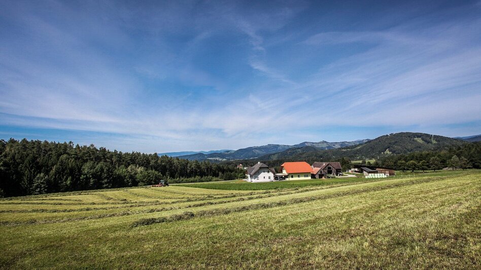 Radfahren Ins Gratkorner Hinterland - Touren-Impression #2.3 | © Region Graz