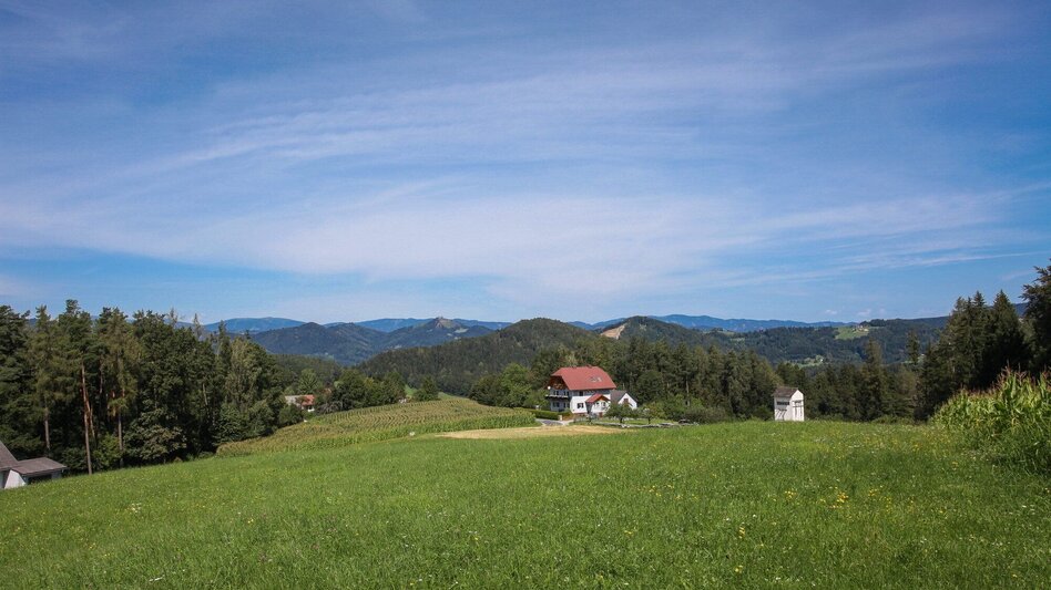 Radfahren Ins Gratkorner Hinterland - Touren-Impression #2.5 | © Region Graz