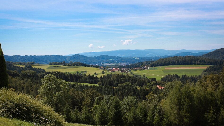 Radfahren Ins Gratkorner Hinterland - Touren-Impression #2.6 | © Region Graz