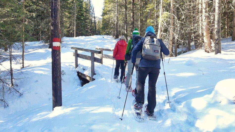 Schneeschuhwandern Schneeschuhwanderung zu den Winterleitenseen mit Rodelerlebnis - Touren-Impression #2.4 | © Weges OG