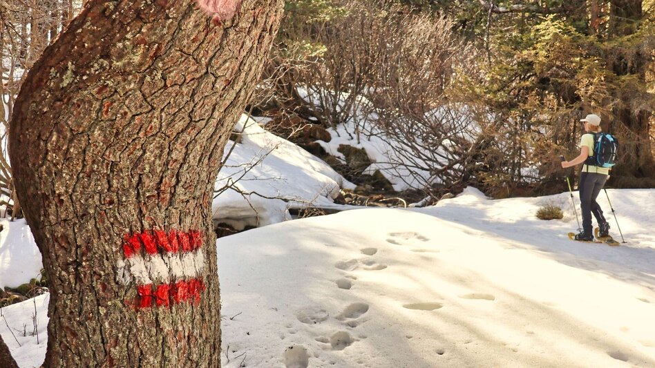 Schneeschuhwandern Schneeschuhwanderung zu den Winterleitenseen mit Rodelerlebnis - Touren-Impression #2.5 | © Weges OG