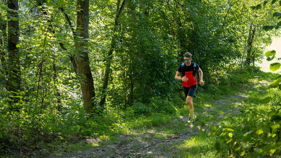 Nordic Walking Ennswiesn-Trail (No. 4) - Touren-Impression #2.5 | © Erlebnisregion Schladming-Dachstein