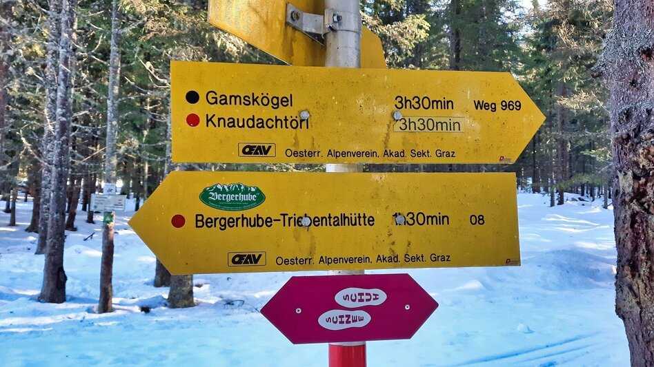 Schneeschuhwandern Mödringalm – markierter Schneeschuh-Trail im Triebental - Touren-Impression #2.5 | © Weges OG