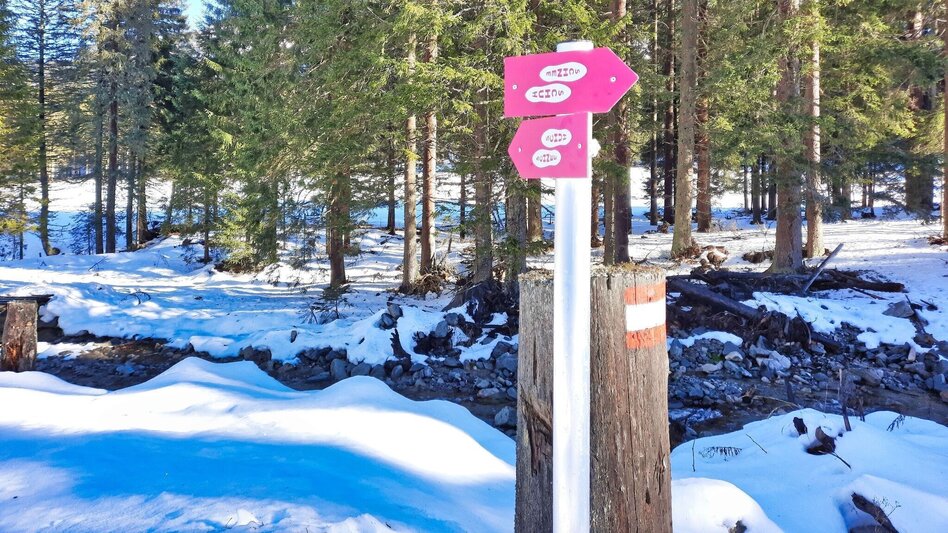 Schneeschuhwandern Mödringalm – markierter Schneeschuh-Trail im Triebental - Touren-Impression #2.7 | © Weges OG