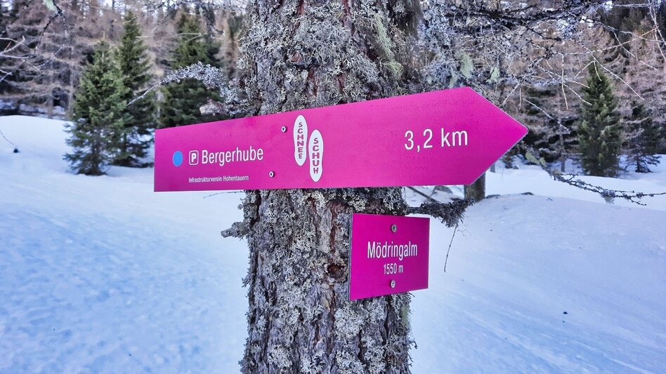 Schneeschuhwandern Mödringalm – markierter Schneeschuh-Trail im Triebental - Touren-Impression #2.12 | © Weges OG
