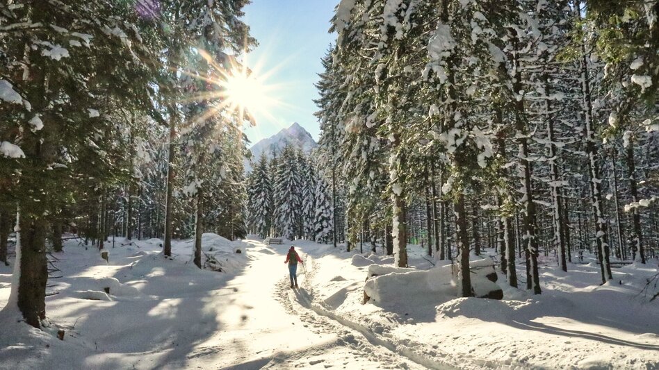 Schneeschuhwandern Mödringalm – markierter Schneeschuh-Trail im Triebental - Touren-Impression #2.6 | © Weges OG