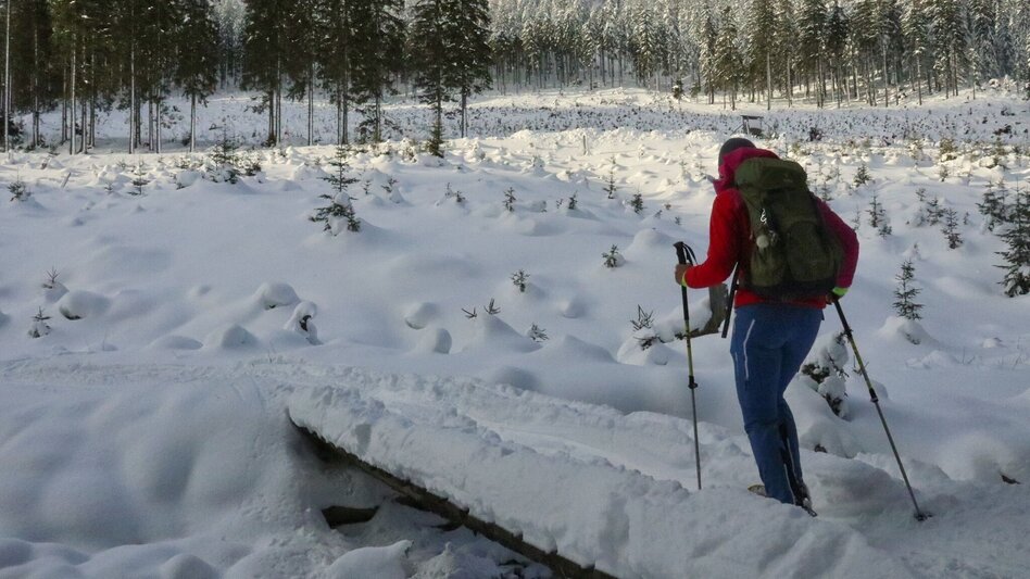Schneeschuhwandern Mödringalm – markierter Schneeschuh-Trail im Triebental - Touren-Impression #2.8 | © Weges OG